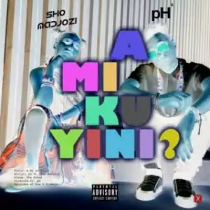pH - A Mi Ku Yini (What Are They Sayin?) Ft. Sho Madjozi
